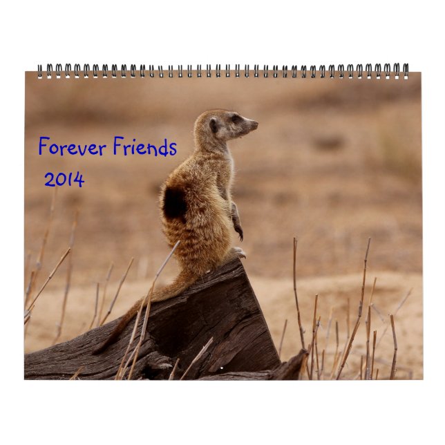 Para siempre amigos - calendario de FKMP 2014 (Tapa)