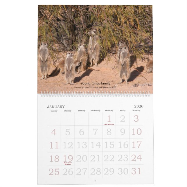 Para siempre amigos - calendario de Meerkat (Jan 2026)