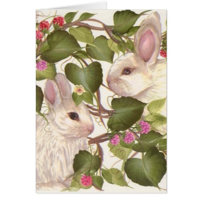 Para siempre conejitos (Frente)