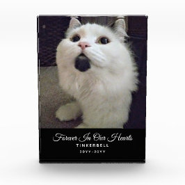 Para siempre en nuestro corazón, nombre de foto de