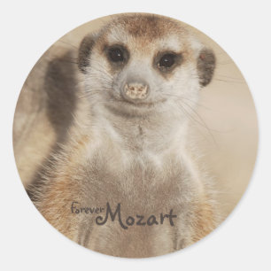 ¡Para siempre Mozart! Pegatinas