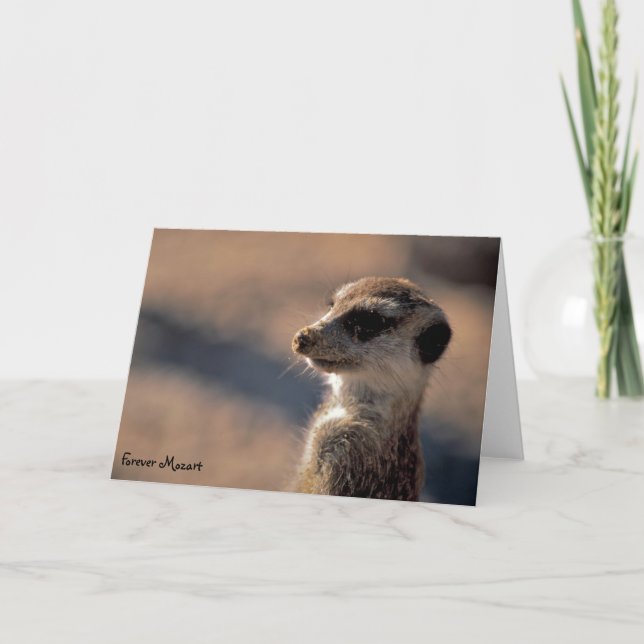 ¡Para siempre Mozart! Tarjeta de felicitaciones (Anverso)