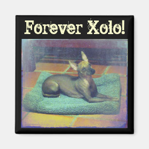 ¡Para siempre Xolo! Imán