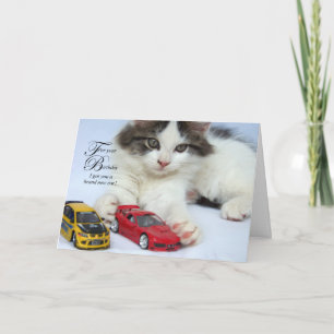 Para sus tarjetas del cumpleaños (gato)