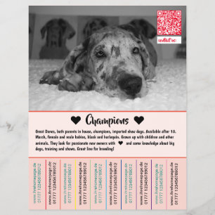 Para vender Dane Puppies Flyer