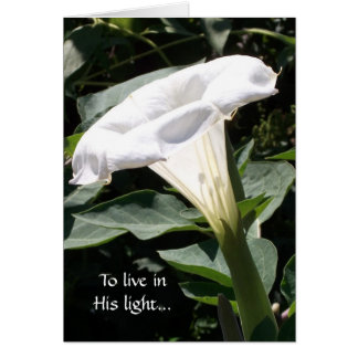 Para vivir en su luz