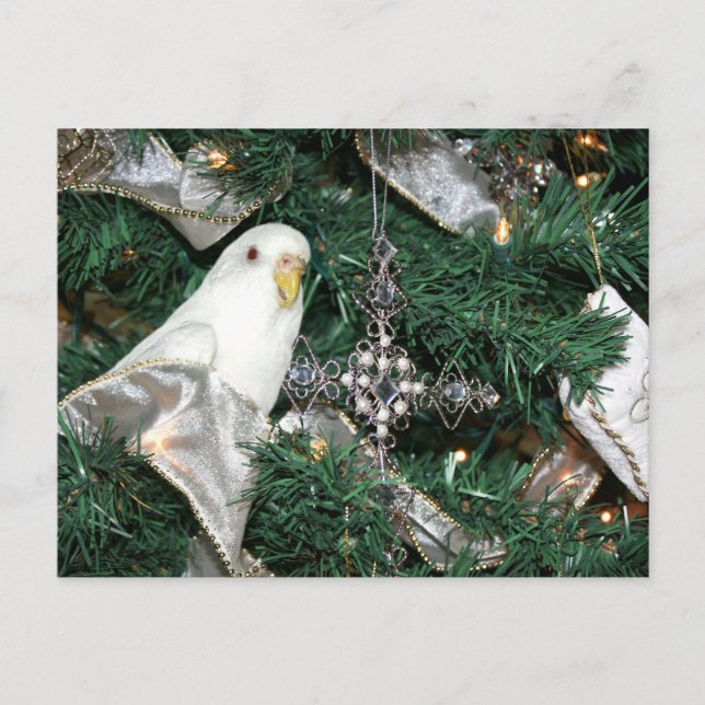 Paracaídas en un árbol de Navidad (Anverso)