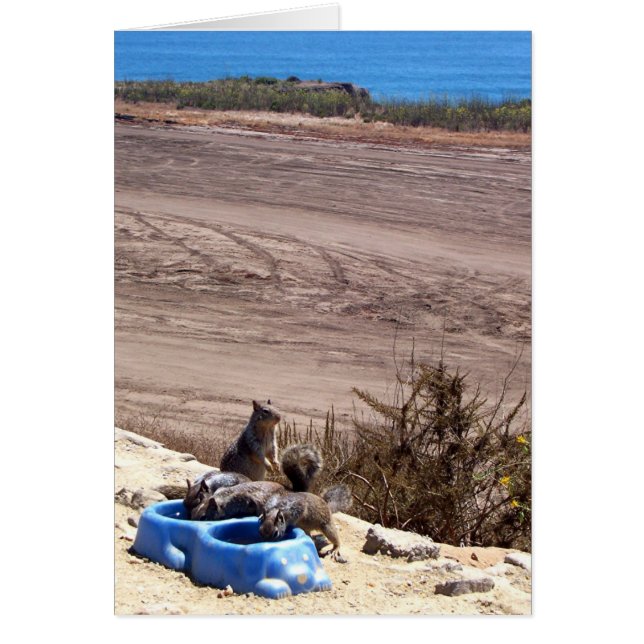 Parada de descanso - Tarjeta (Frente)