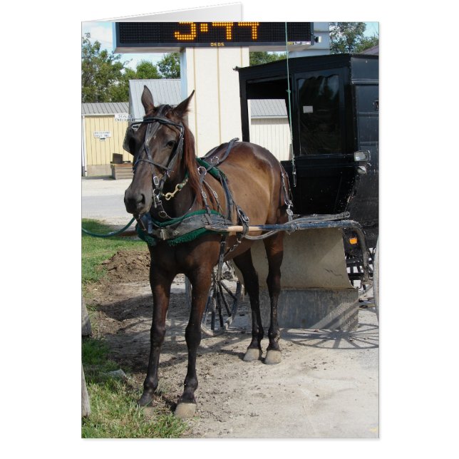 Parada de la tienda de caballos y cervecerías de A (Frente)