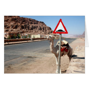 parada del camello del ron del lecho de un río