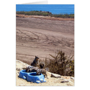 Parada del resto - tarjeta