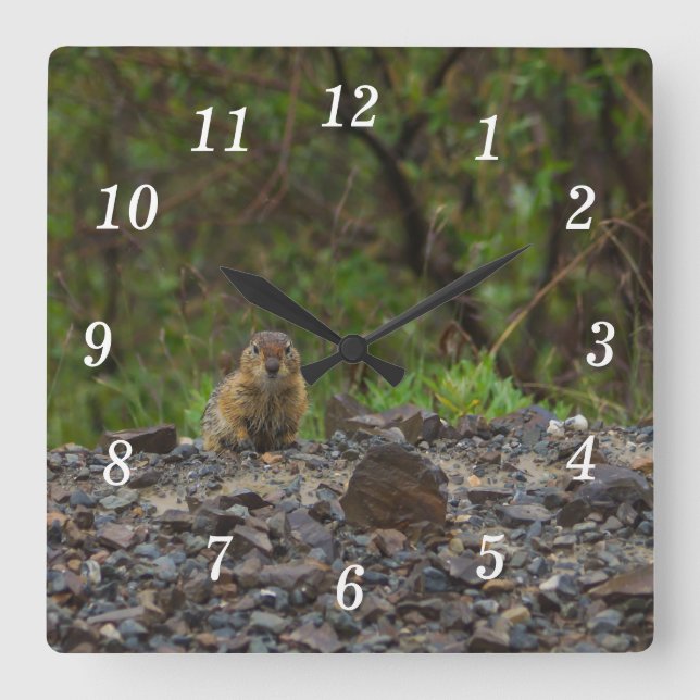 Paraguas por favor pared reloj (Anverso)