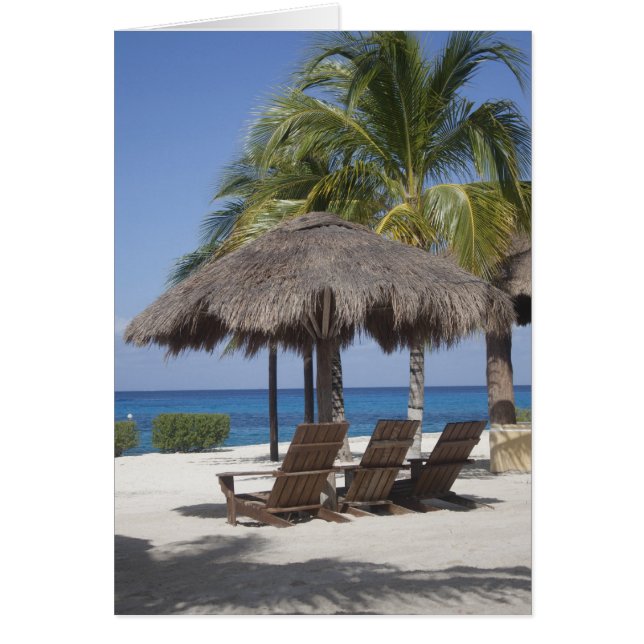 Paraíso costero mexicano (Frente)