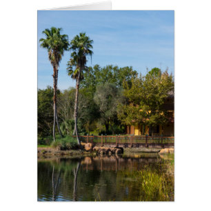 Paraíso de las manantiales tropicales