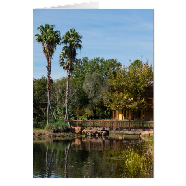 Paraíso de las manantiales tropicales (Frente)