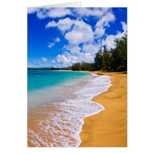 Paraíso de playa tropical, Hawái (Frente)