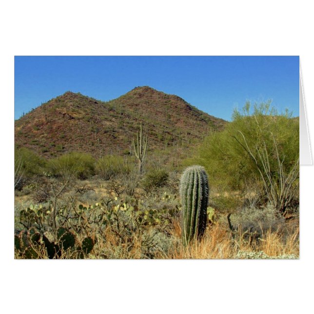 Paraíso del desierto (Anverso (Horizontal))