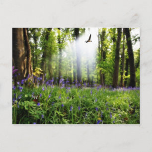 paraíso encontrado postal