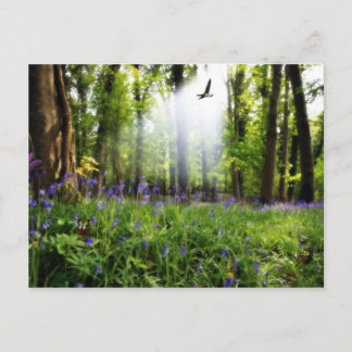 paraíso encontrado postal