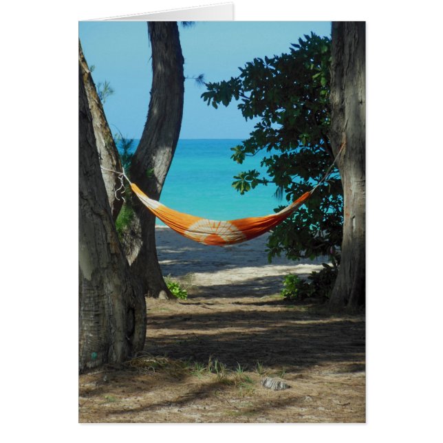 Paraíso hawaiano (Frente)