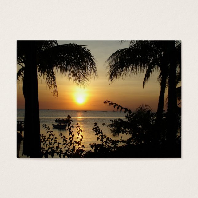 Paraíso tropical (Frente)