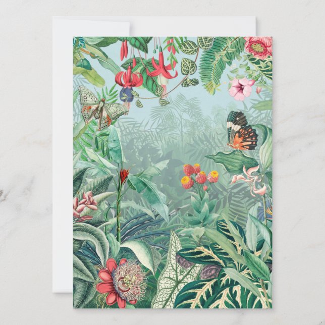 Paraíso tropical (Anverso)