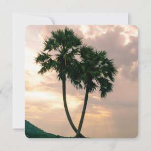 Paraíso Tropical Playa Palm Destiny'S