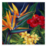 Paraíso tropical Posters florales de Hawái