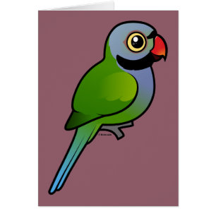 Parakeet de Derbyan