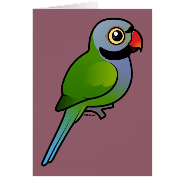 Parakeet de Derbyan (Frente)