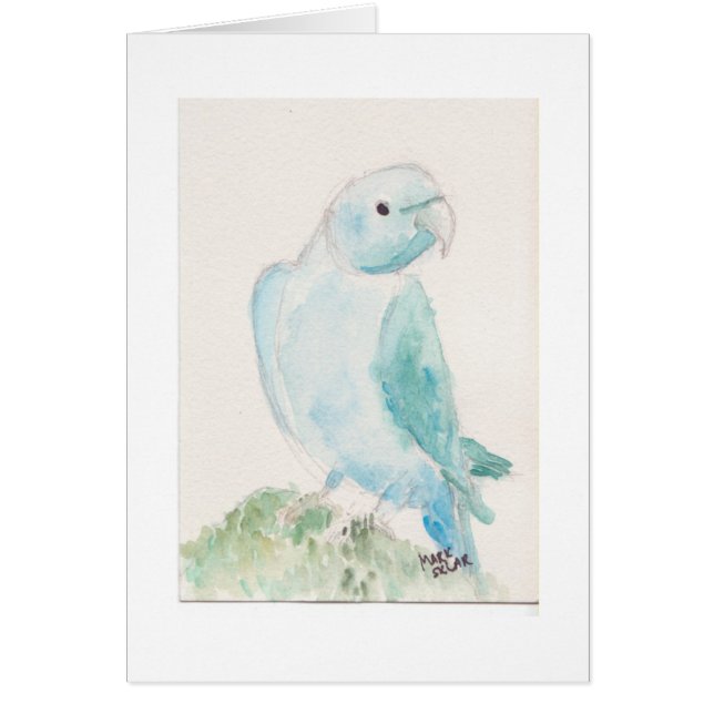 Parakeet indio del ringneck (Frente)