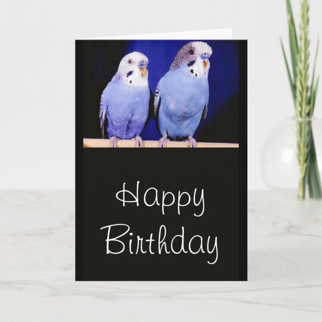 Parakeets (Budgies) Tarjeta de felicitación por cu (Anverso)