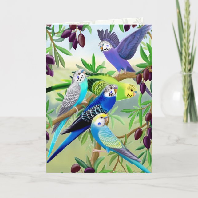 Parakeets de Budgie en tarjeta de felicitación del (Anverso)