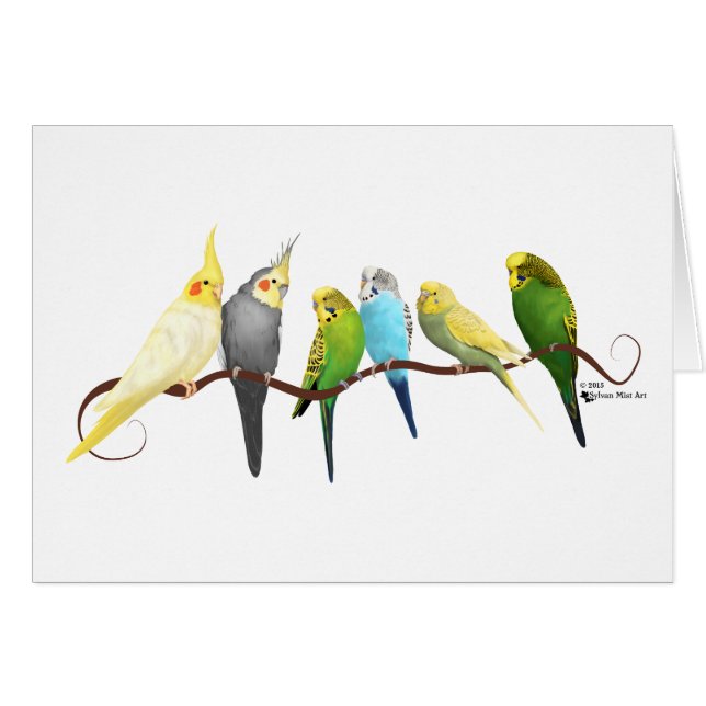 ¡Parakeets y Cockatiels! (Anverso (Horizontal))