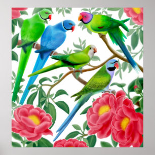 Parakeets y impresión de los Peonies