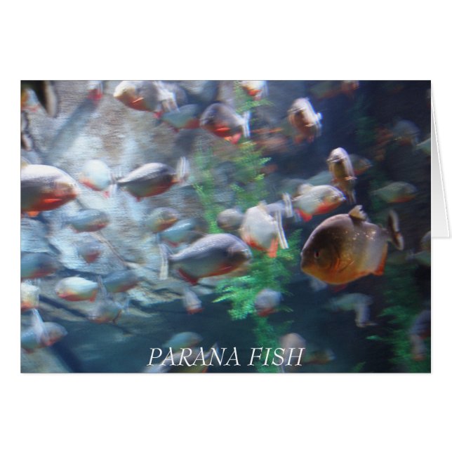 Paraná (Anverso (Horizontal))