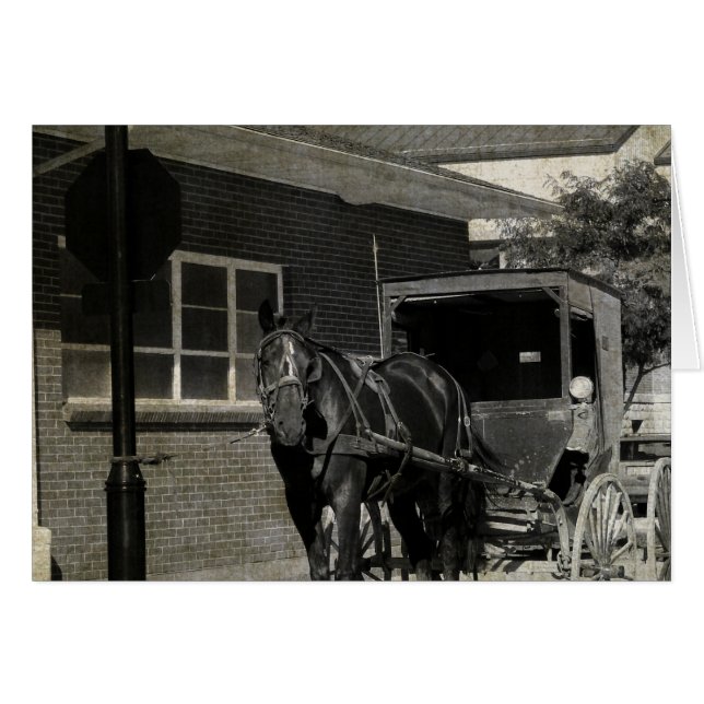 Parar por un hechizo, caballo Amish en el Rótulo S (Anverso (Horizontal))