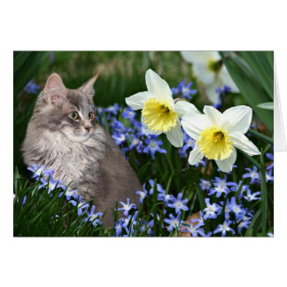 Parar y oler las flores