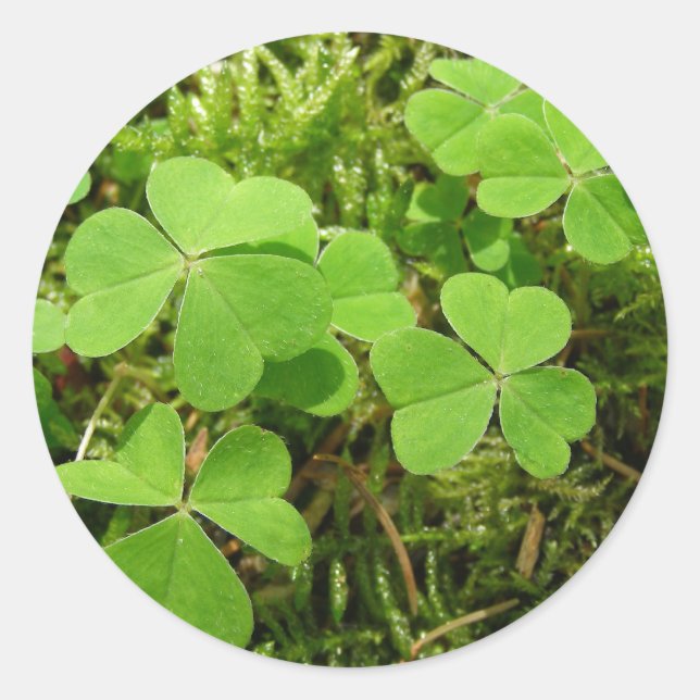 Parche Clover - pegatinas (Anverso)