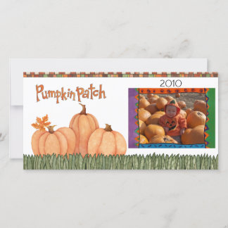 parche de calabaza