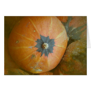 Parche de calabaza