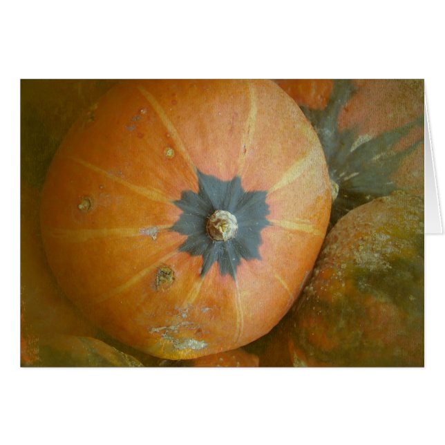 Parche de calabaza (Anverso (Horizontal))
