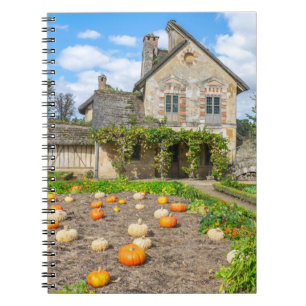 Parche de calabaza y cuaderno de campo