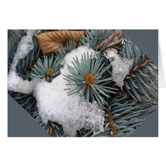 parche de nieve (Anverso (Horizontal))