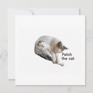 PARCHE EL GATO Y SU KITTEN