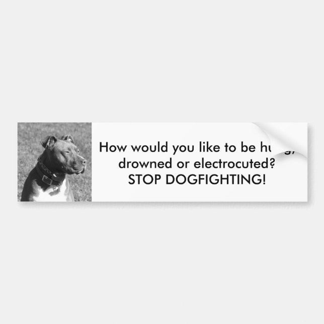 Pare a la pegatina para el parachoques de (Frente)