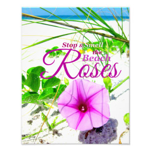 Pare y huela la foto de los rosas de la playa