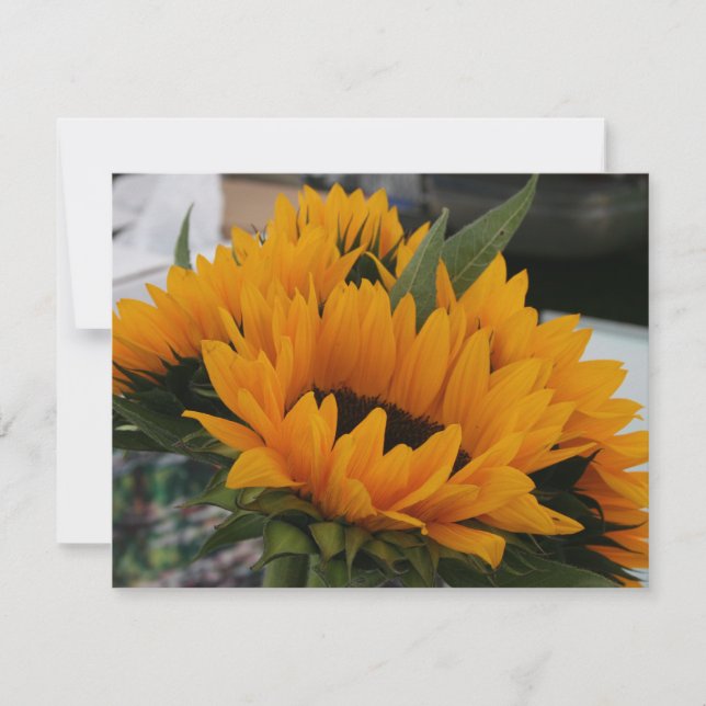 Parece un girasol (Anverso)