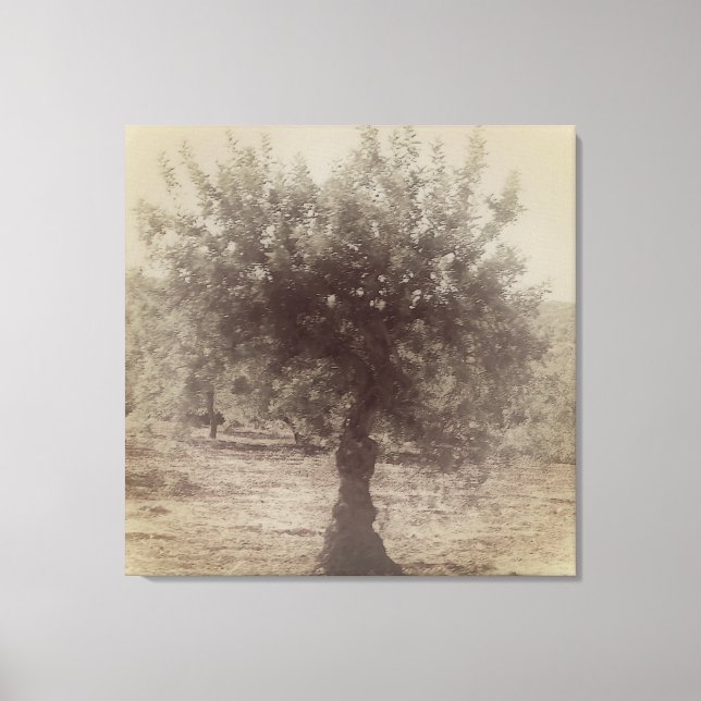 PARED DE ARTE Y DISEÑO DE CANVAS (Anverso)