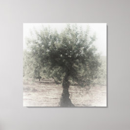 PARED DE ARTE Y DISEÑO DE CANVAS